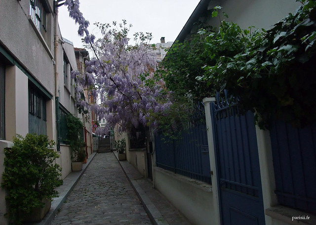 Dans cette petite rue de Paris, les fleurs des jardins des maisons sont partout