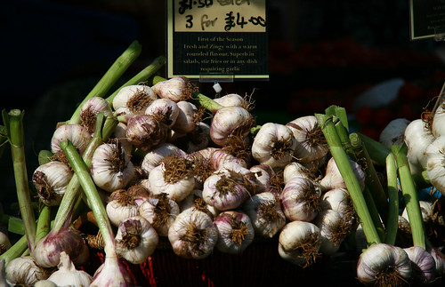 market garlic