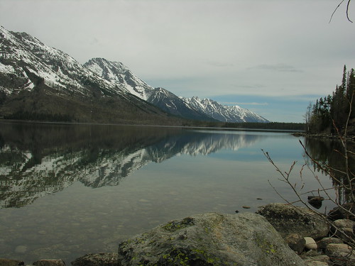 Jenny Lake view