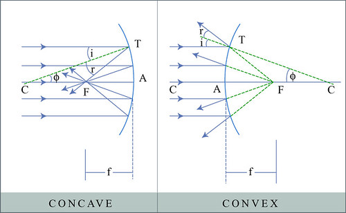 Concave versus Convex