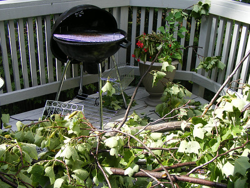 Tree Fell On Our Deck