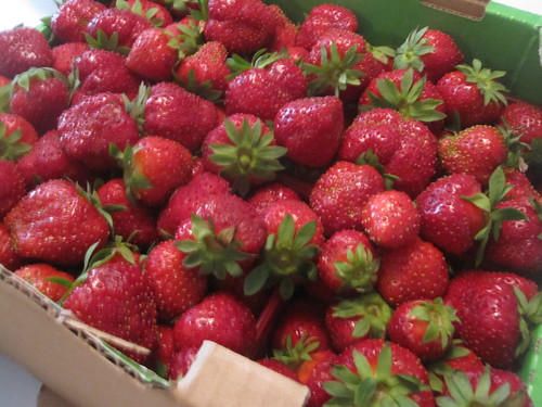 A few of Céline's strawberries