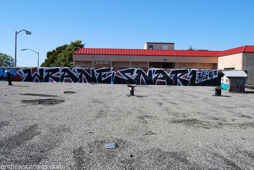 WRANE SNARL Graffiti Bart Shot in Oakland, CA. 
