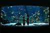 minnesota zoo aquarium by Dan Anderson *