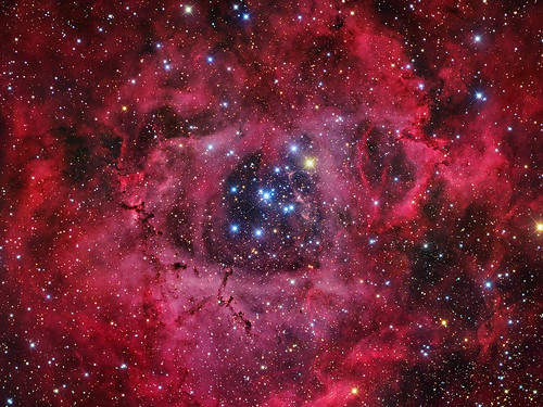 Rosette Nebula by Johnny Paglioli