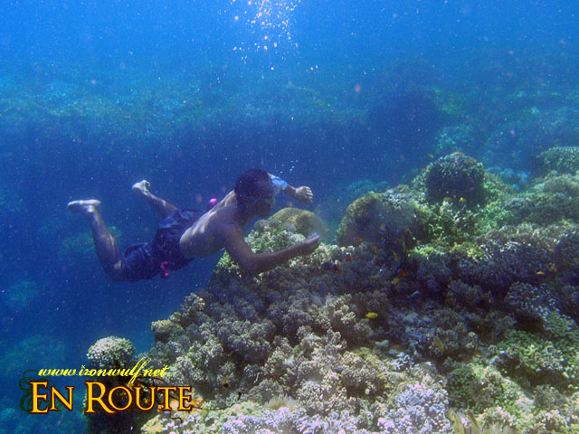 Underwater at Pamilacan Island Bohol
