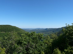 Vallée de l'Escandorgue, Hérault. 7 août 2010.