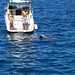 Isola del Giglio - cane in acqua a Punta Capel Rosso