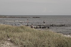 Öland beach (east side)
