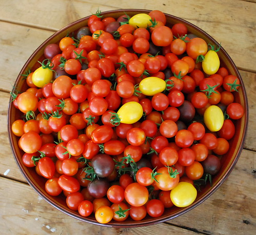 Bowl of Cherry Tomatoes 2