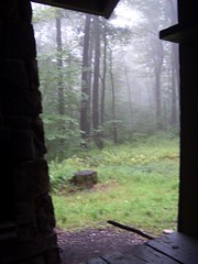 Foggy Morning from the Shelter
