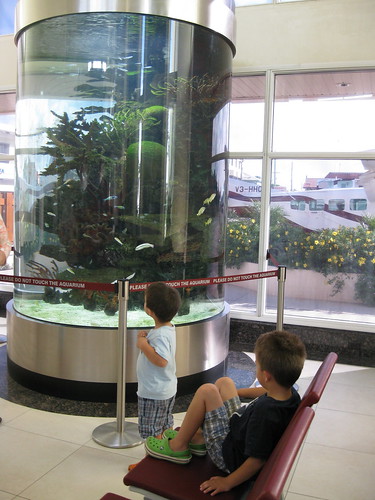 Cool aquarium at the San Pedro airport