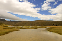 Laguna Limpiopungo - Cotopaxi