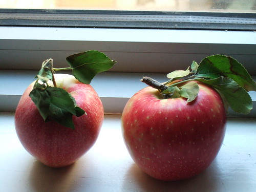 Apples!