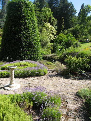 The Berkeley Botanical Garden really is very beautiful.