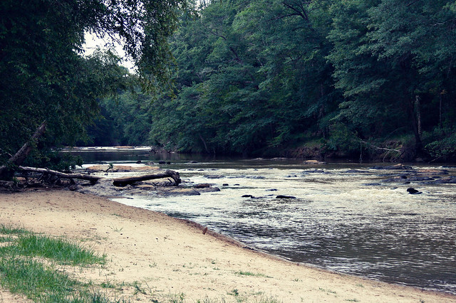 riverbank