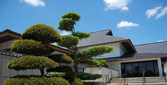 Morikami Japanese Museum & Gardens