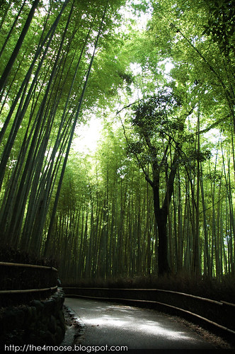 Arashiyama 嵐山 - Bamboo Grove