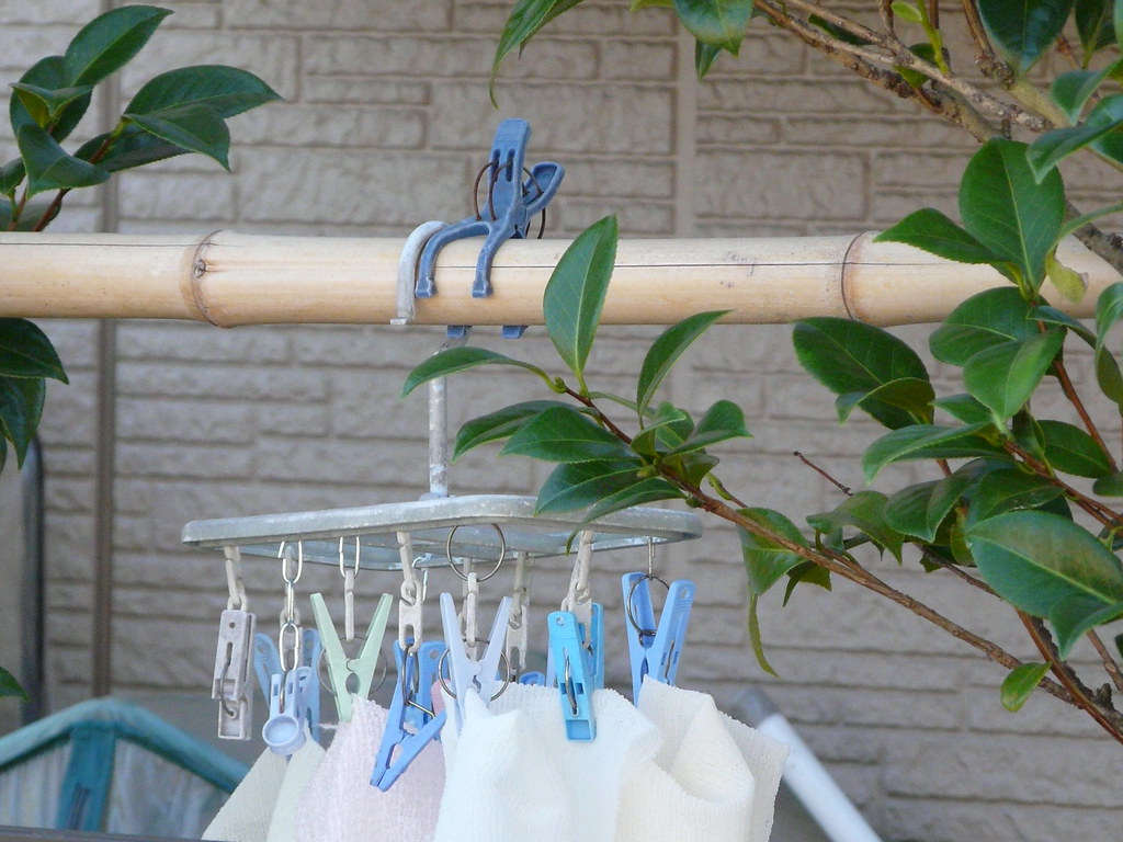 Tree Supported Washing Line
