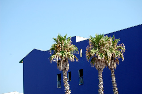 Blue building, blue sky and palm trees