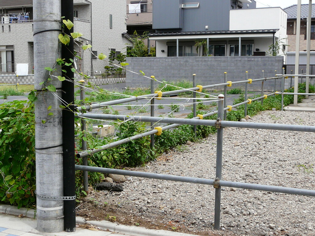 Trained Creeping Fence