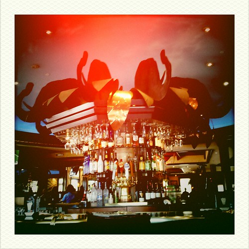 elephant bar