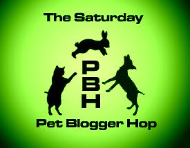The Saturday Pet Blogger Hop (Green)