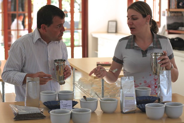 Cupping some TCC coffees