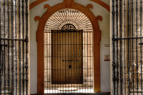 Gate and grille. Seville. Puerta y reja. Sevilla