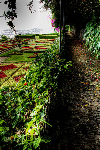 Botanic garden. Madeira. Funchal. Jardin botánico