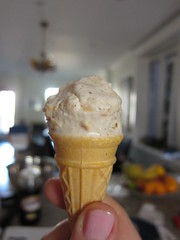 Roasted Hazelnut Vanilla Ice Cream