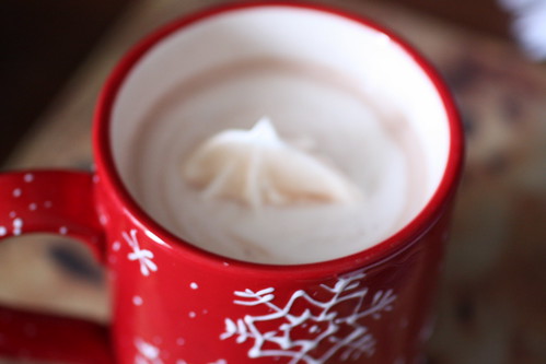 cocoa in a winter mug