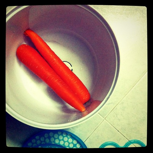 Carrot in sterilizer?