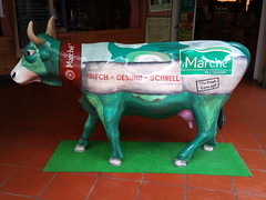 Marche cow