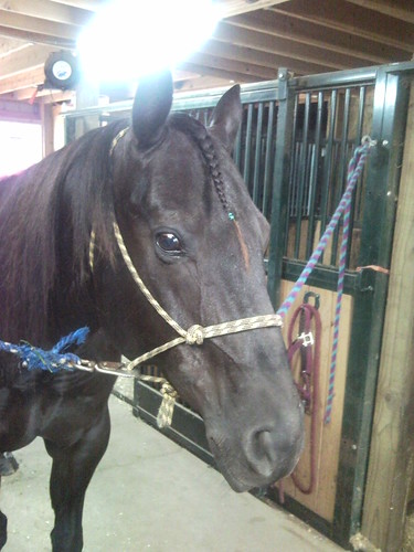Axel looks very handsome with his little braid.