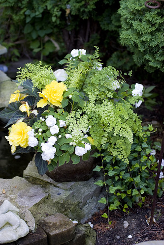 Heavenly Scent Herb Farm: Shade Container