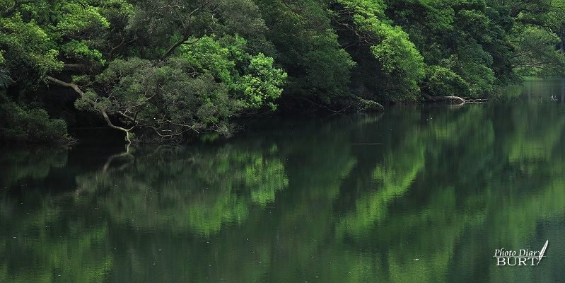 後慈湖：靜謐的湖面