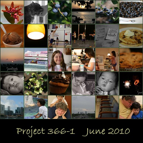Project 3661 June 2010-1