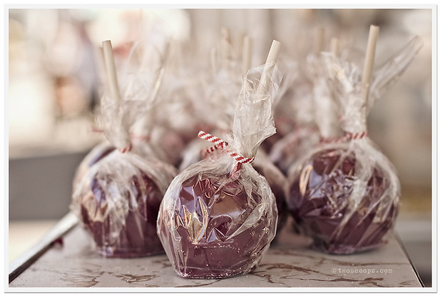 candied apples 206/365