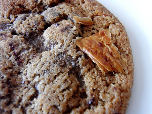 08-05 chocolate chip cookie