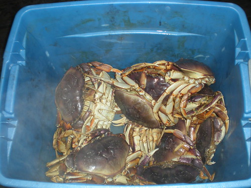 Fresh Alaskan crab feast