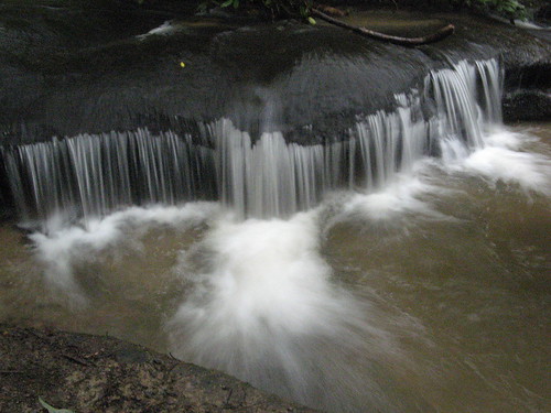 Flow in the creek