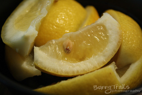 233-lemons