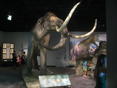 Columbian Mammoth by edenpictures