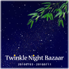 Twinkle Night Bazaar