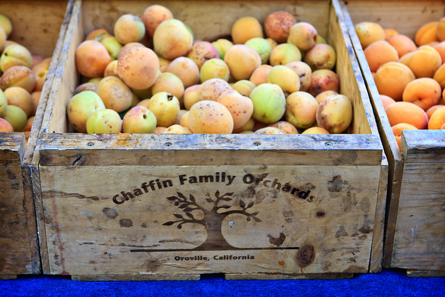Chaffin Family Orchards