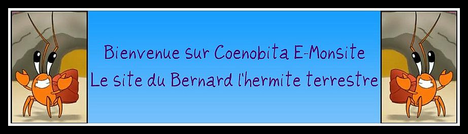 banniere bernard l’hermite 1