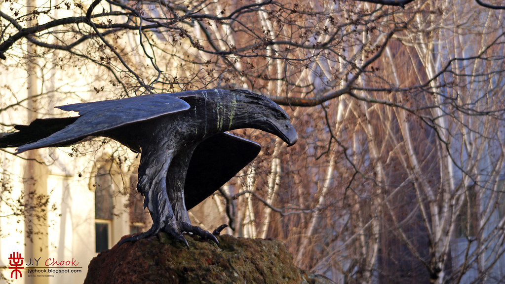 Sculpture Eagle