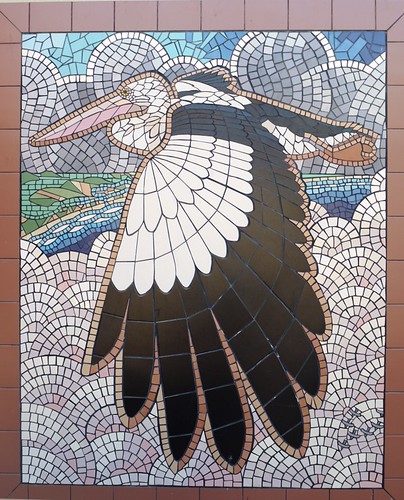 Goolwa Pelican Mural