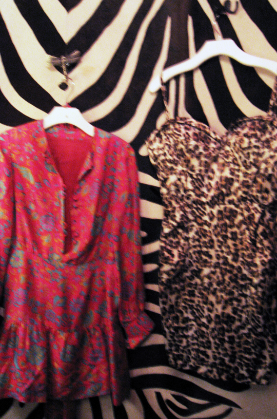 Annie Creamcheese Zebra dressing room+leopard dress+vintage dress